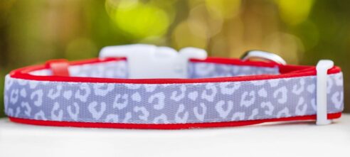 Dog Collar (Neoprene) - Image 8