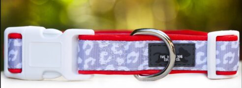 Dog Collar (Neoprene) - Image 7