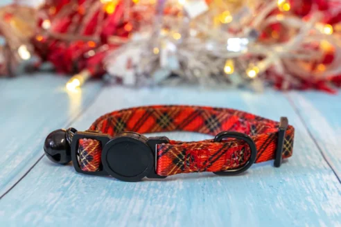 Dog Collar (Neoprene) - Image 21
