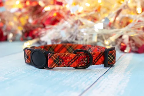 Dog Collar (Neoprene) - Image 24