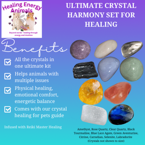 Crystal Harmony Set for Pets – The Ultimate Healing Companion for any Companion